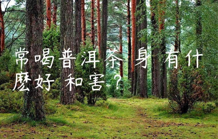 常喝普洱茶對身體有什麽好處和害處?