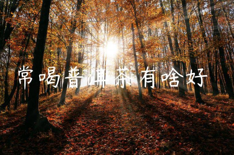 常喝普洱茶有啥好處