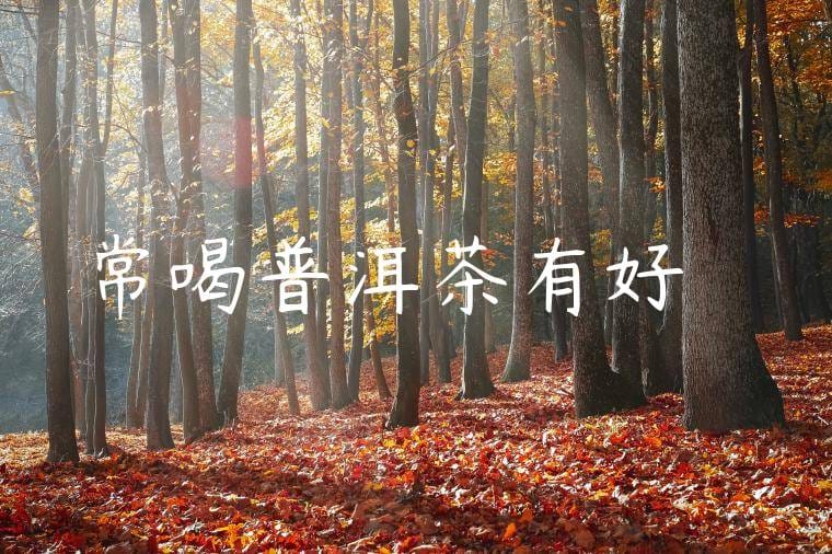 常喝普洱茶有好處嗎