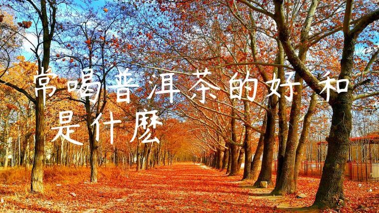 常喝普洱茶的好處和壞處是什麽