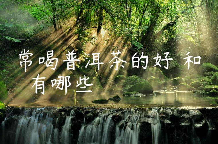 常喝普洱茶的好處和壞處有哪些