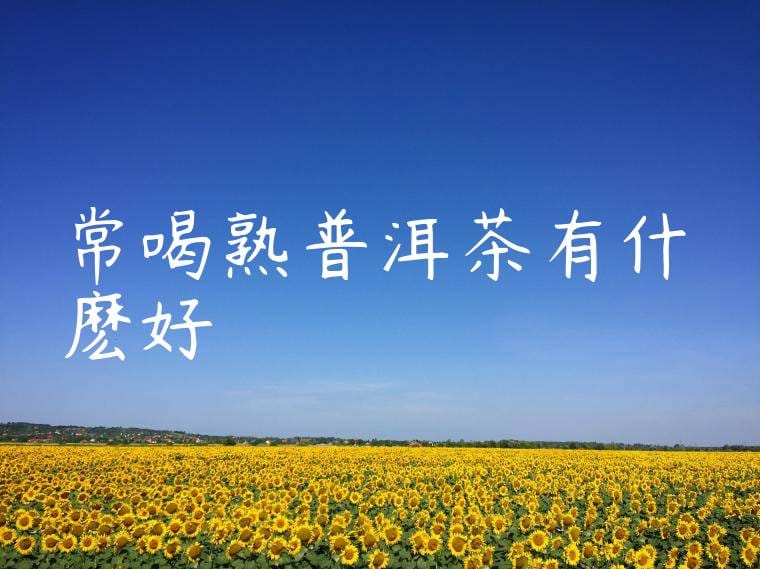 常喝熟普洱茶有什麽好處
