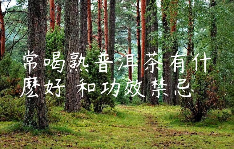 常喝熟普洱茶有什麽好處和功效禁忌