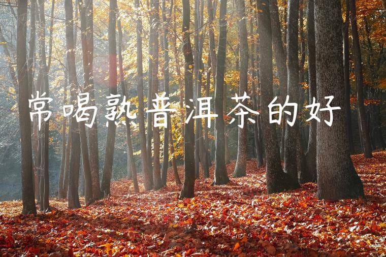 常喝熟普洱茶的好處與壞處