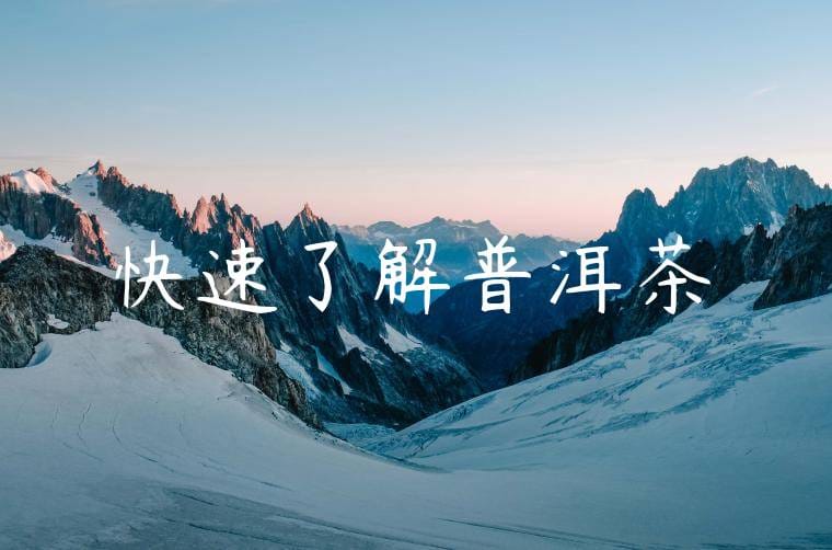 快速了解普洱茶