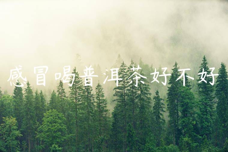 感冒喝普洱茶好不好