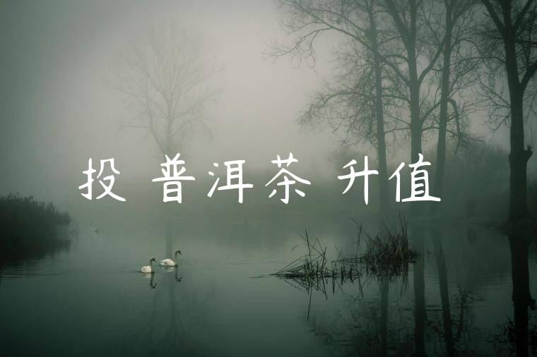 投資普洱茶會升值嗎