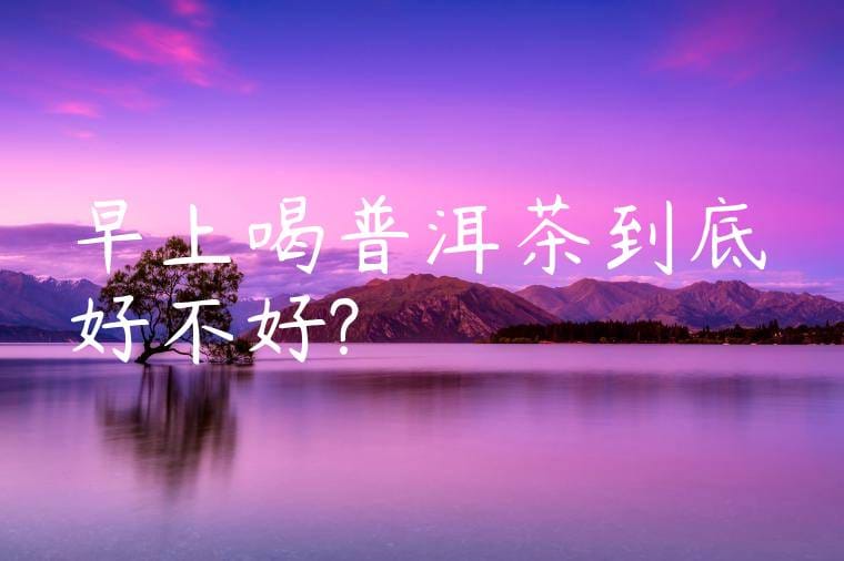 早上喝普洱茶到底好不好?