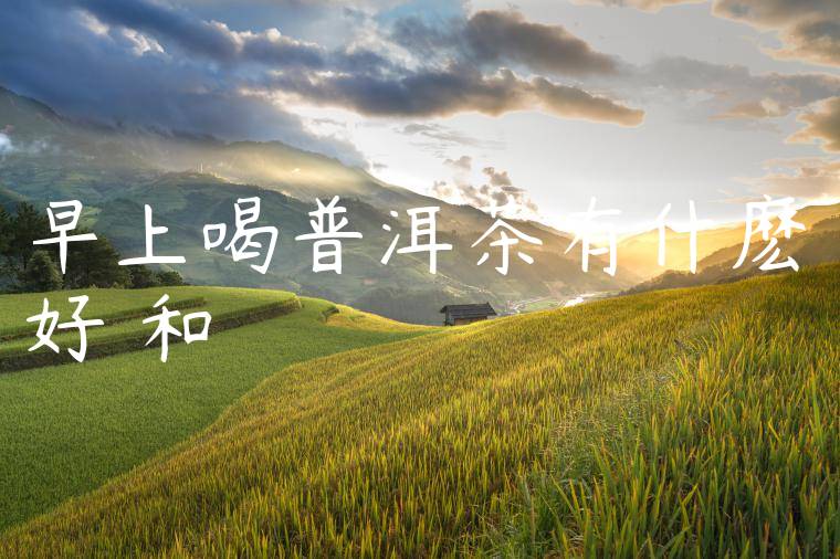 早上喝普洱茶有什麽好處和壞處