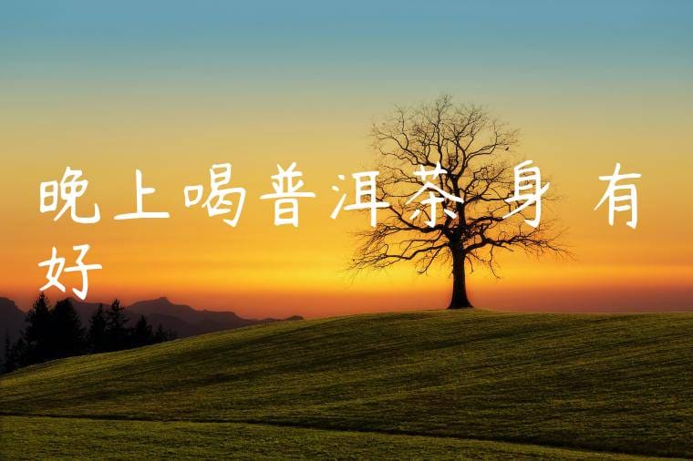 晚上喝普洱茶對身體有好處嗎