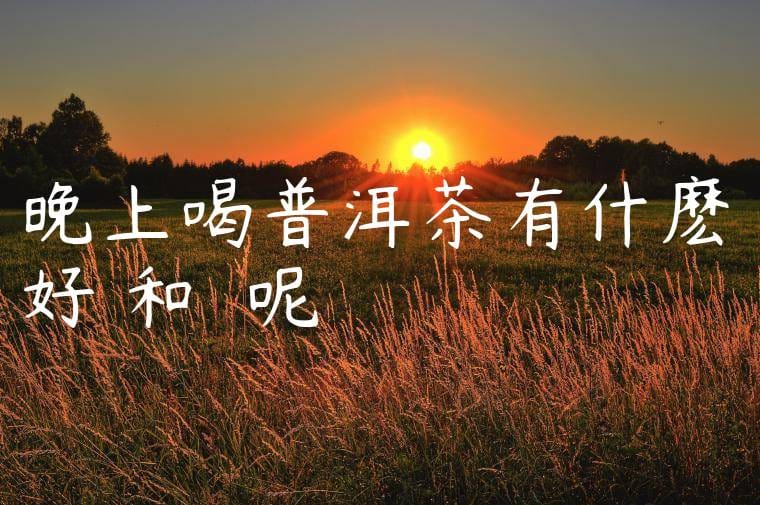 晚上喝普洱茶有什麽好處和壞處呢