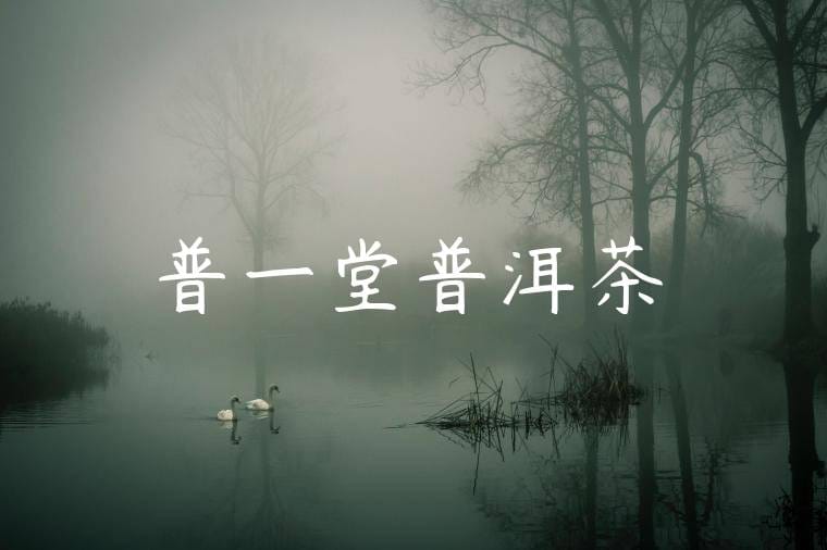 普一堂普洱茶