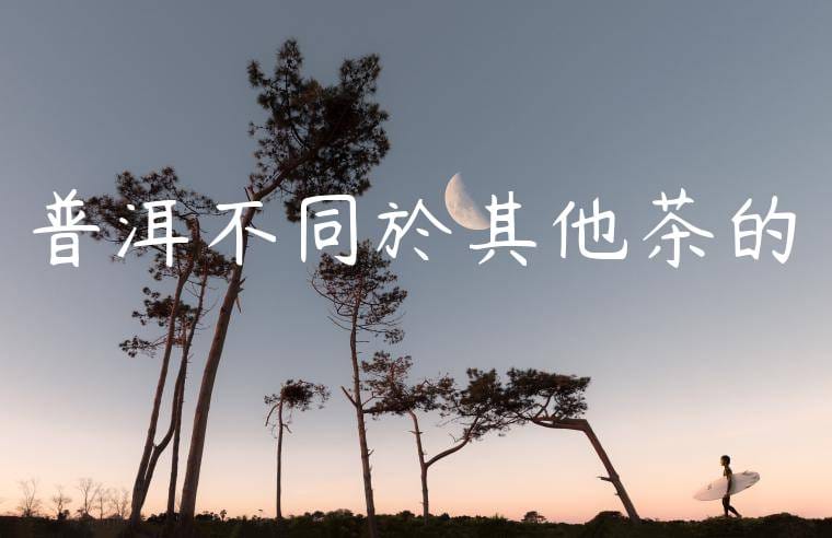 普洱不同於其他茶的區別