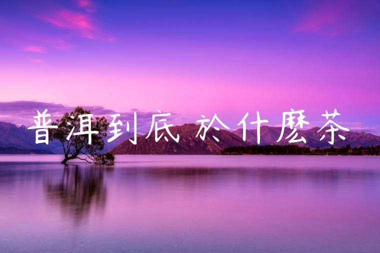 普洱到底屬於什麽茶