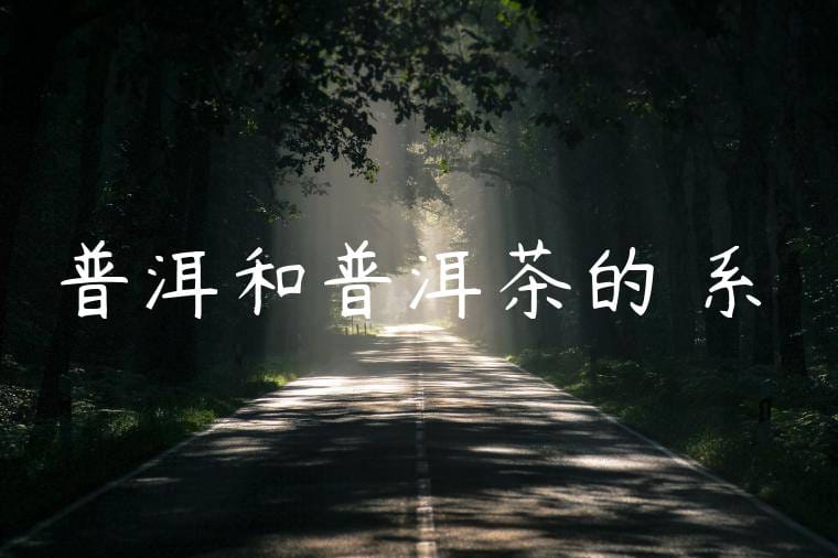 普洱和普洱茶的關系