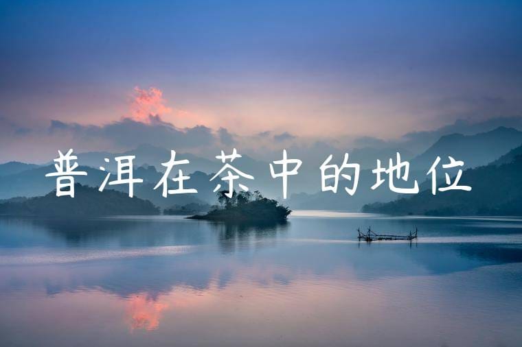 普洱在茶中的地位
