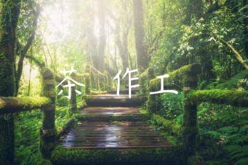 wpac-thumb-10962_jpg