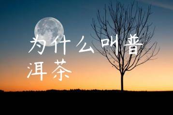 wpac-thumb-11015_jpg