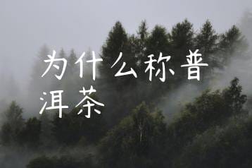 wpac-thumb-11019_jpg