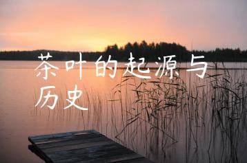 wpac-thumb-11059_jpg