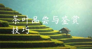 wpac-thumb-11061_jpg