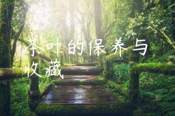 wpac-thumb-11062_jpg