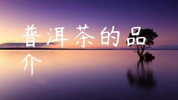 wpac-thumb-11065_jpg