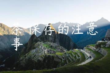 wpac-thumb-11125_jpg