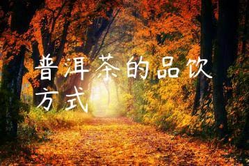 wpac-thumb-11135_jpg