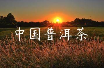 wpac-thumb-11140_jpg