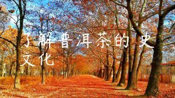 wpac-thumb-11203_jpg