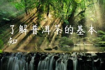 wpac-thumb-11206_jpg