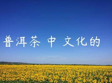 wpac-thumb-11242_jpg