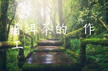 wpac-thumb-11462_jpg