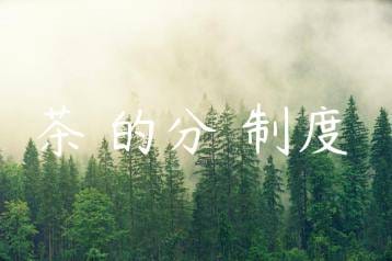 wpac-thumb-11537_jpg