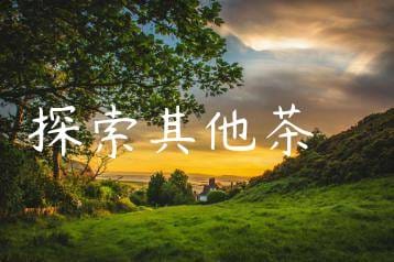 wpac-thumb-11546_jpg