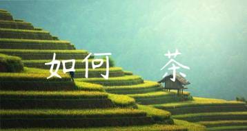 wpac-thumb-11561_jpg