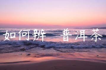 wpac-thumb-11602_jpg