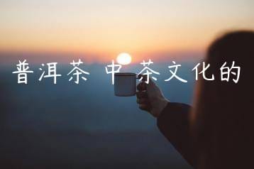 wpac-thumb-11711_jpg