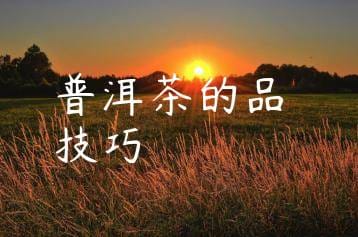 wpac-thumb-11740_jpg