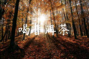 wpac-thumb-12193_jpg