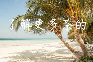 wpac-thumb-12452_jpg