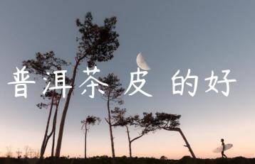 wpac-thumb-12455_jpg