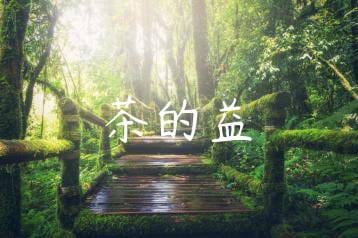 wpac-thumb-12462_jpg