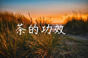 wpac-thumb-12547_jpg