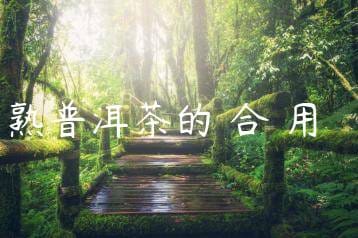 wpac-thumb-12562_jpg