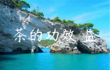 wpac-thumb-12568_jpg