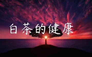 wpac-thumb-12571_jpg