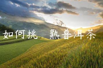 wpac-thumb-12582_jpg