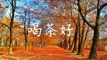 wpac-thumb-12703_jpg